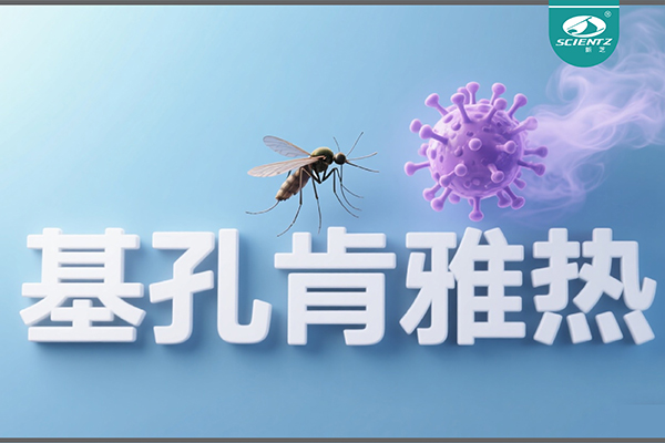 基孔肯雅熱疫情升級！新芝生物硬核技術(shù)助力病毒精準診斷