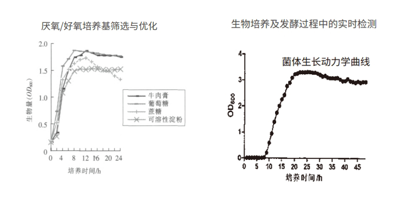 過程安全，結(jié)果精準