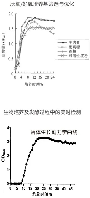 過程安全，結(jié)果精準(zhǔn)